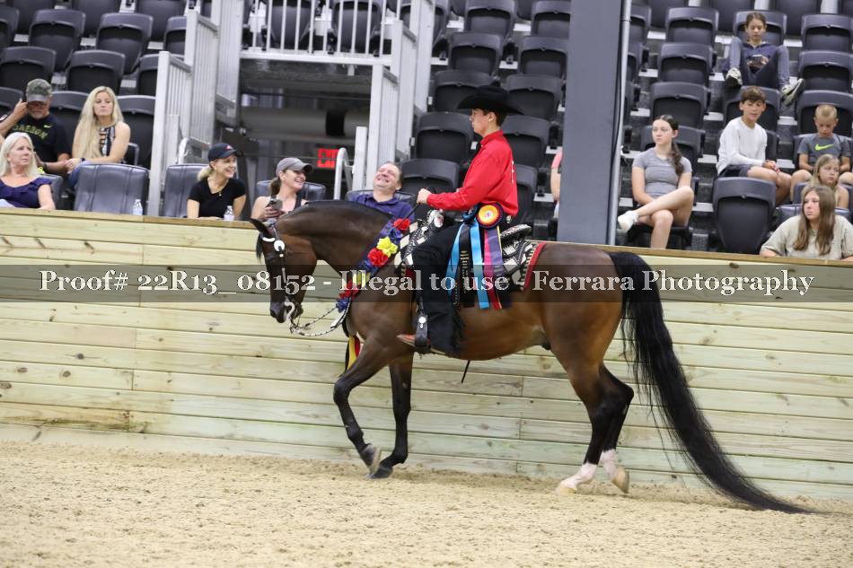 Proof 22R13_08152