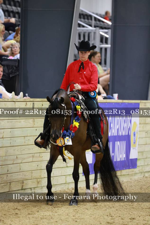 Proof 22R13_08153