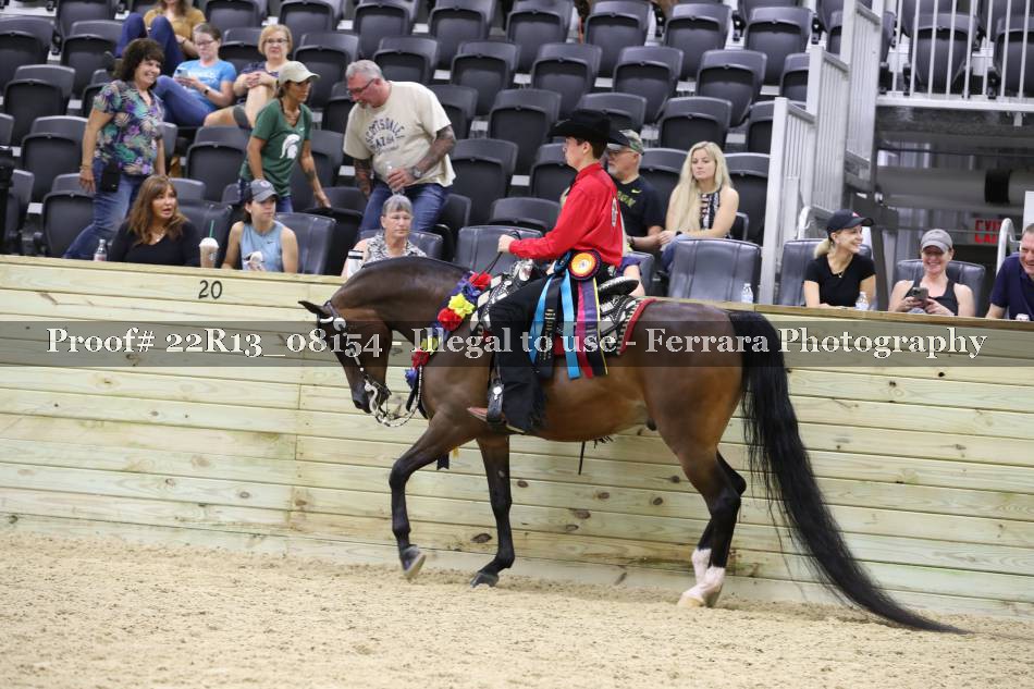 Proof 22R13_08154