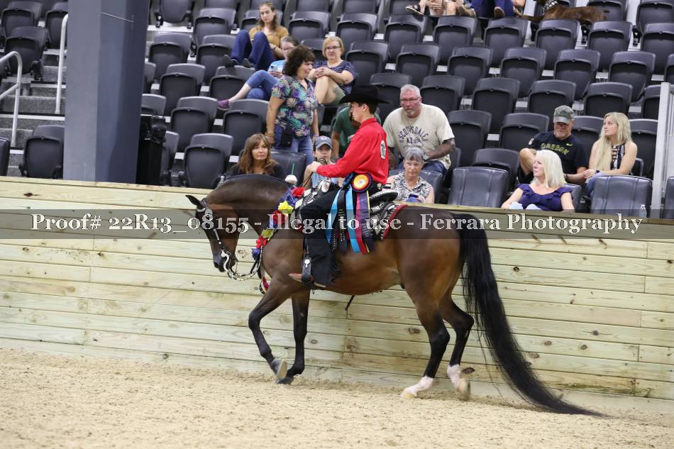 Proof 22R13_08155