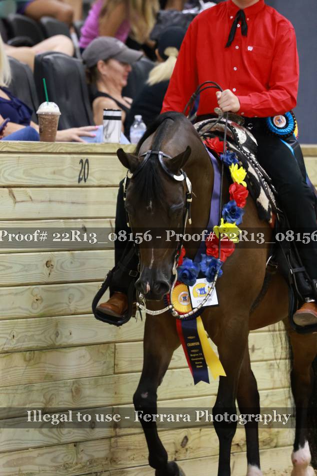 Proof 22R13_08156