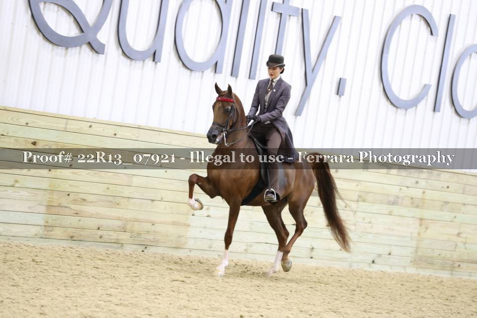 Proof 22R13_07921