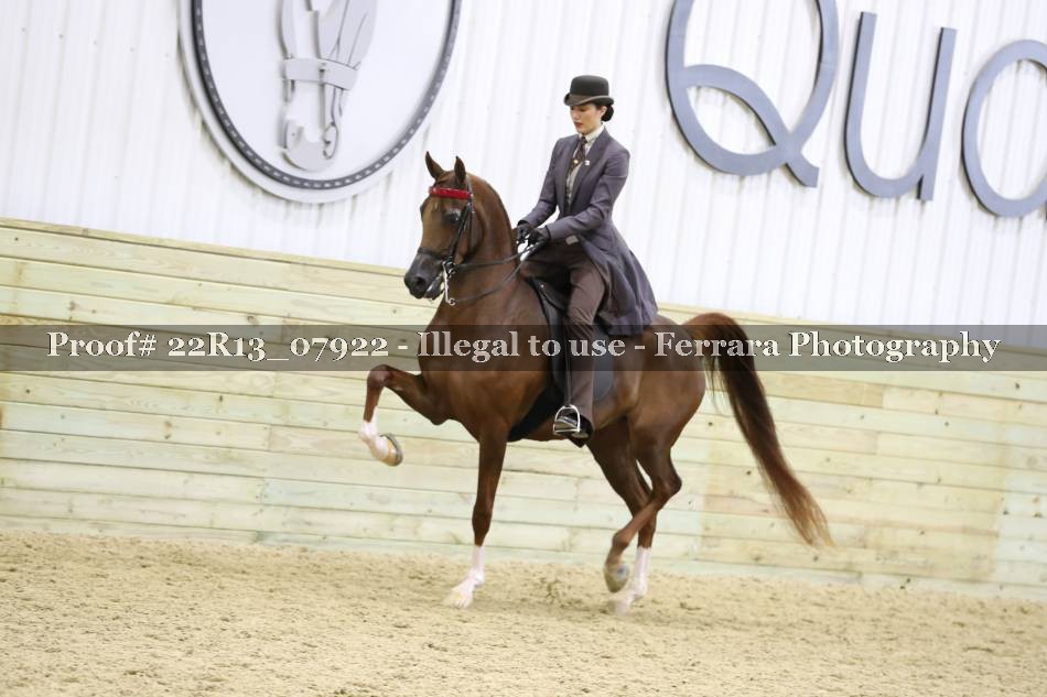 Proof 22R13_07922