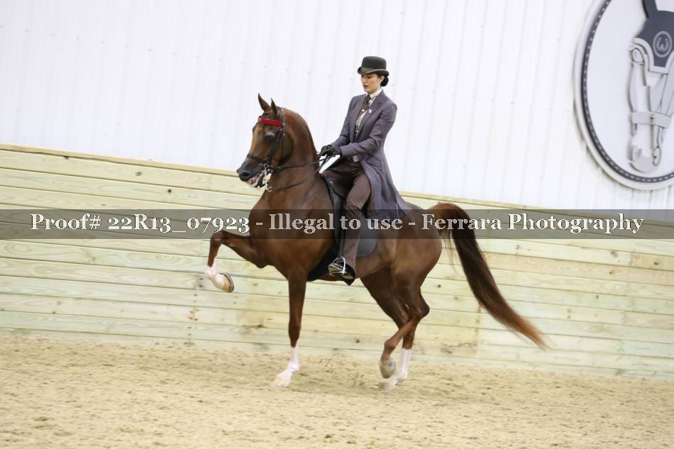 Proof 22R13_07923