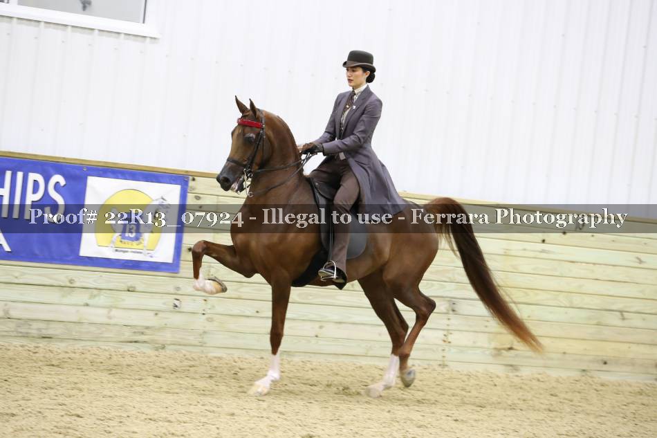 Proof 22R13_07924