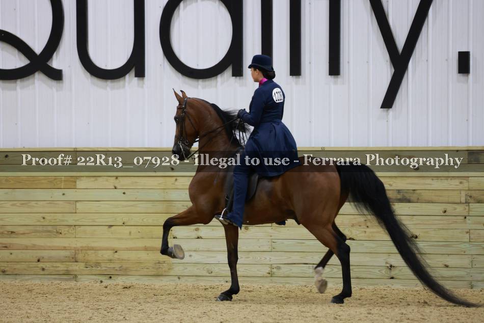 Proof 22R13_07928