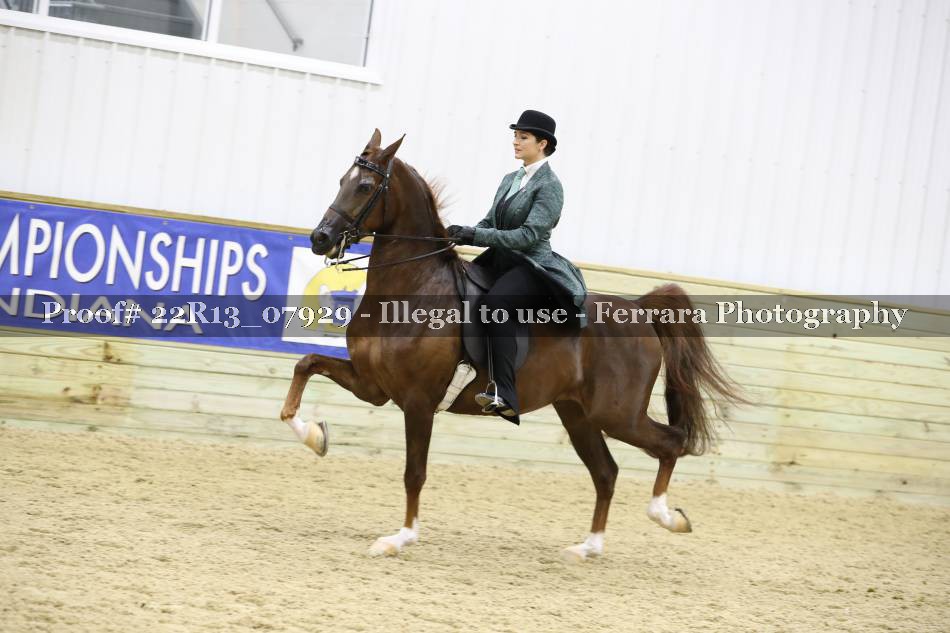 Proof 22R13_07929