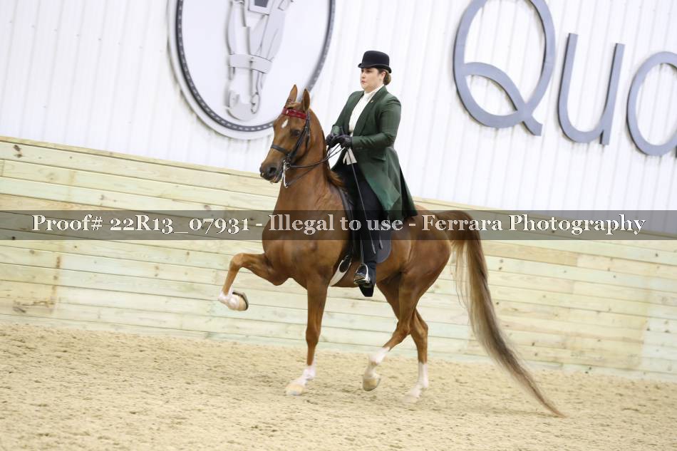 Proof 22R13_07931