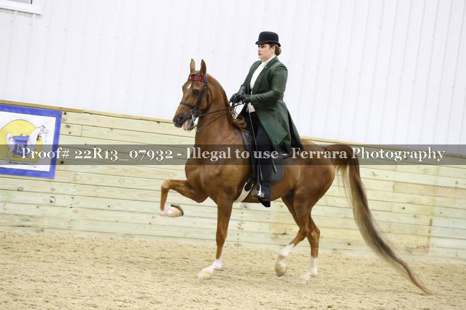 Proof 22R13_07932