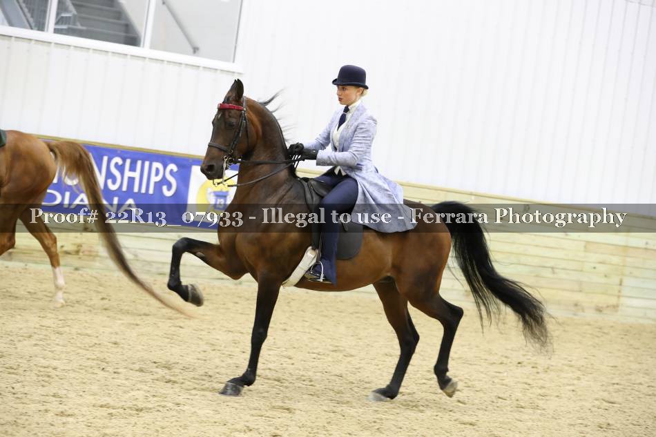 Proof 22R13_07933