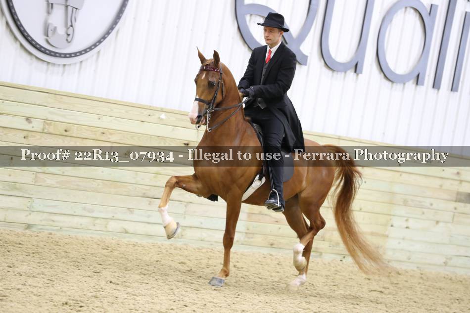 Proof 22R13_07934