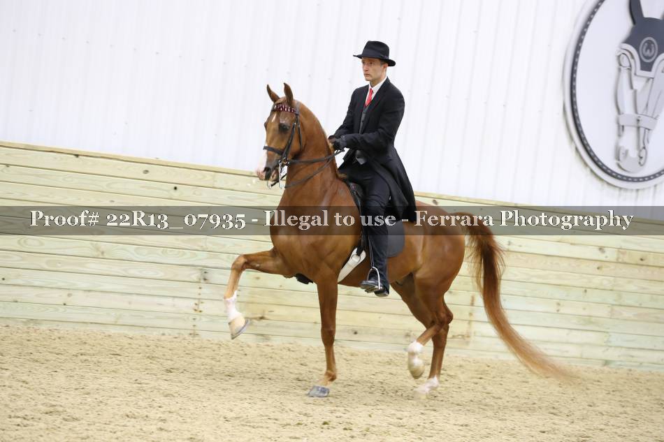 Proof 22R13_07935