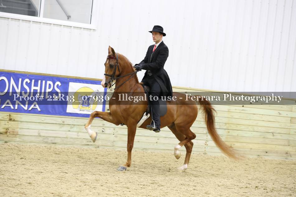 Proof 22R13_07936