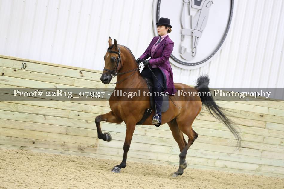 Proof 22R13_07937