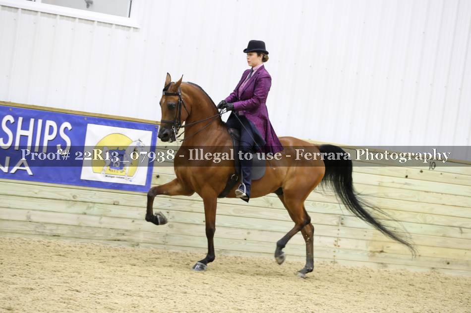 Proof 22R13_07938