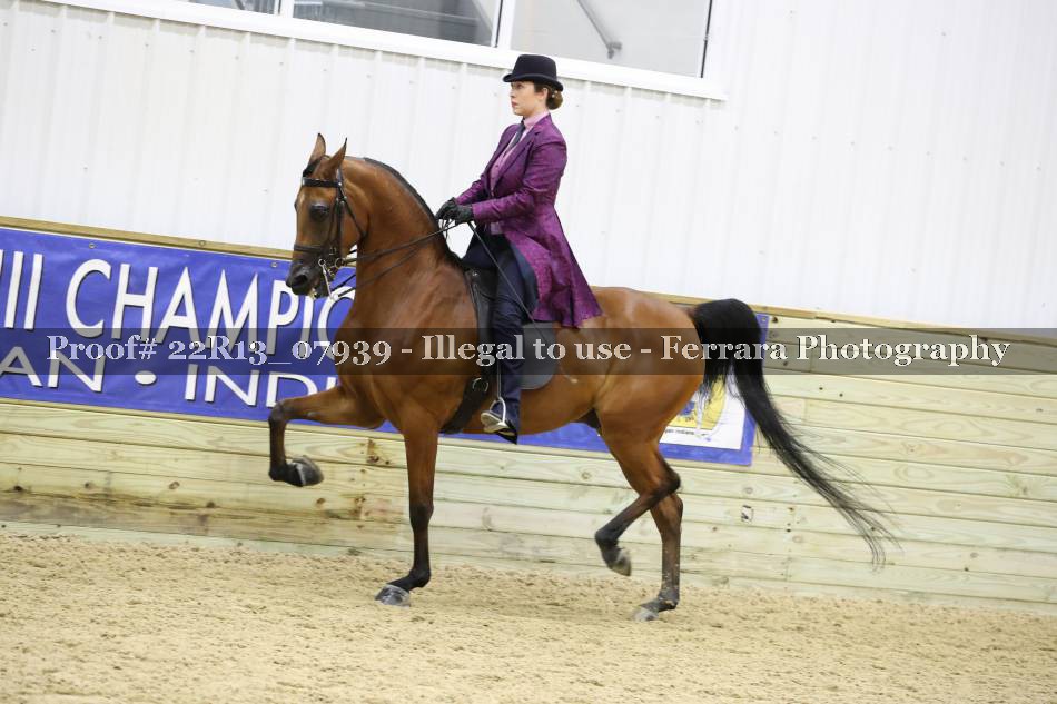 Proof 22R13_07939