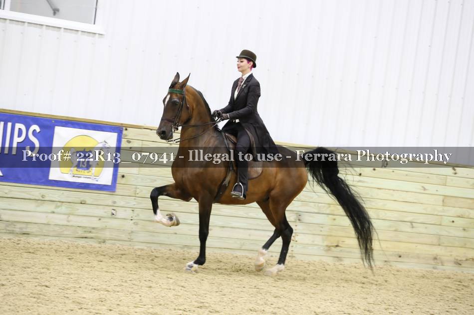 Proof 22R13_07941