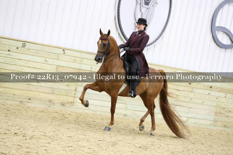 Proof 22R13_07942