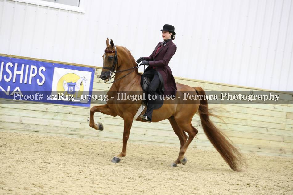 Proof 22R13_07943