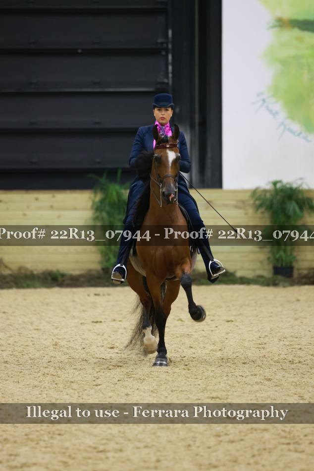 Proof 22R13_07944