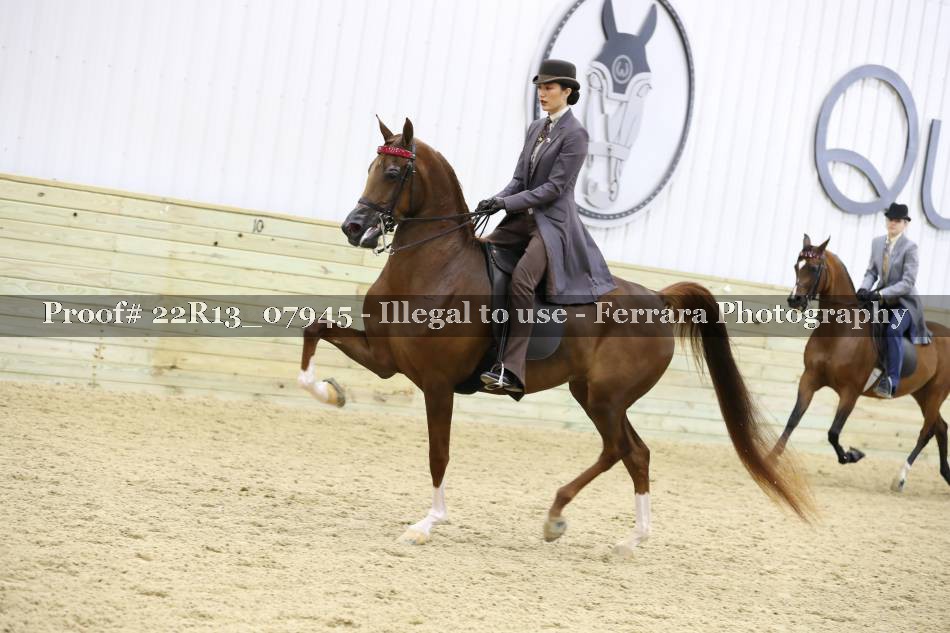 Proof 22R13_07945