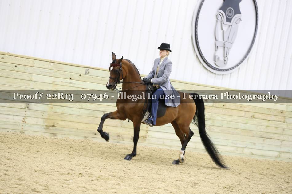 Proof 22R13_07946