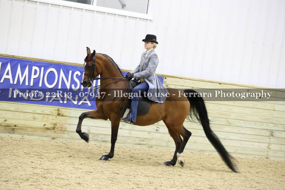 Proof 22R13_07947