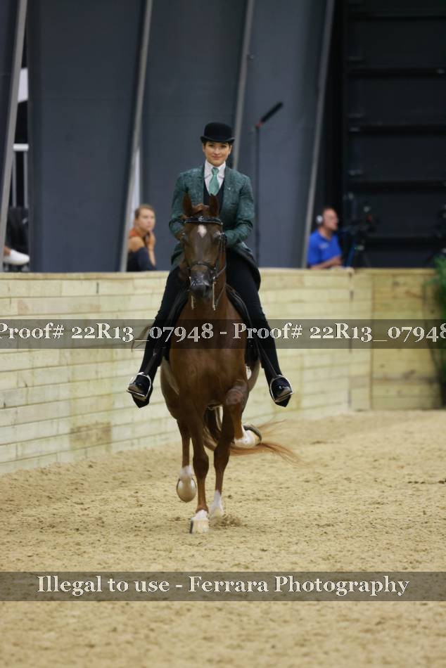 Proof 22R13_07948