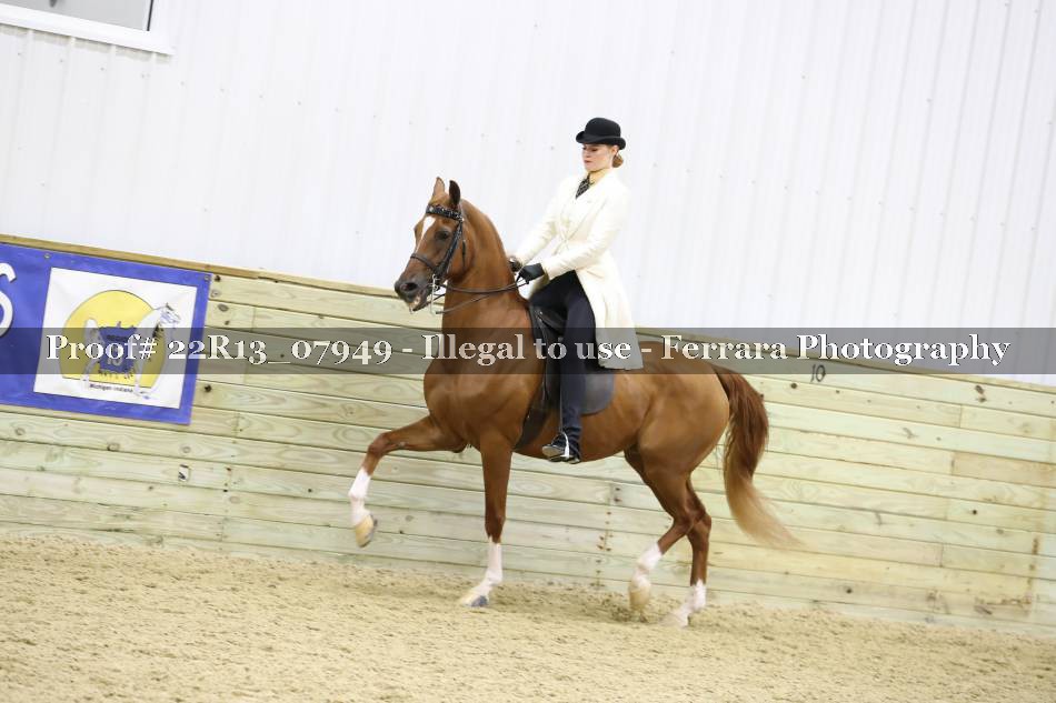Proof 22R13_07949