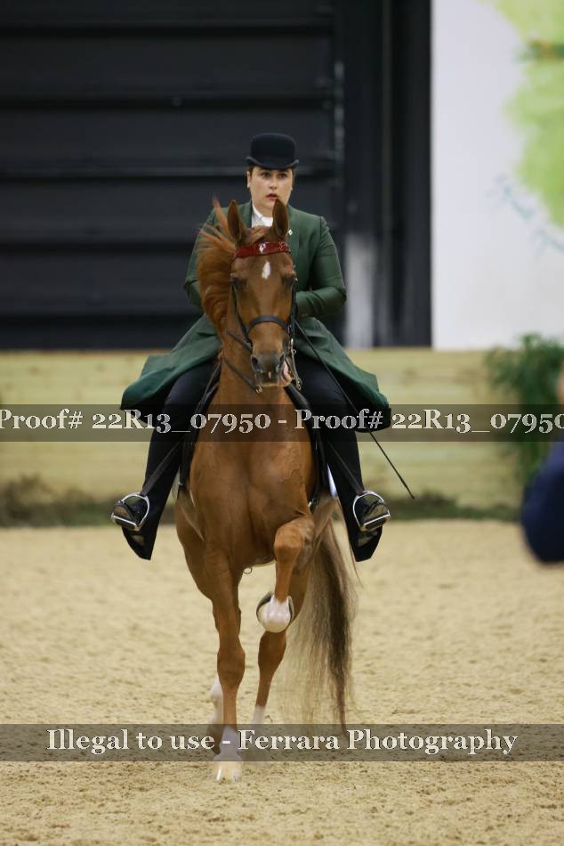 Proof 22R13_07950
