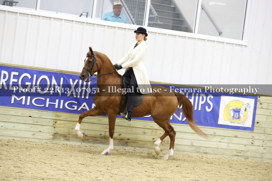 Proof 22R13_07951