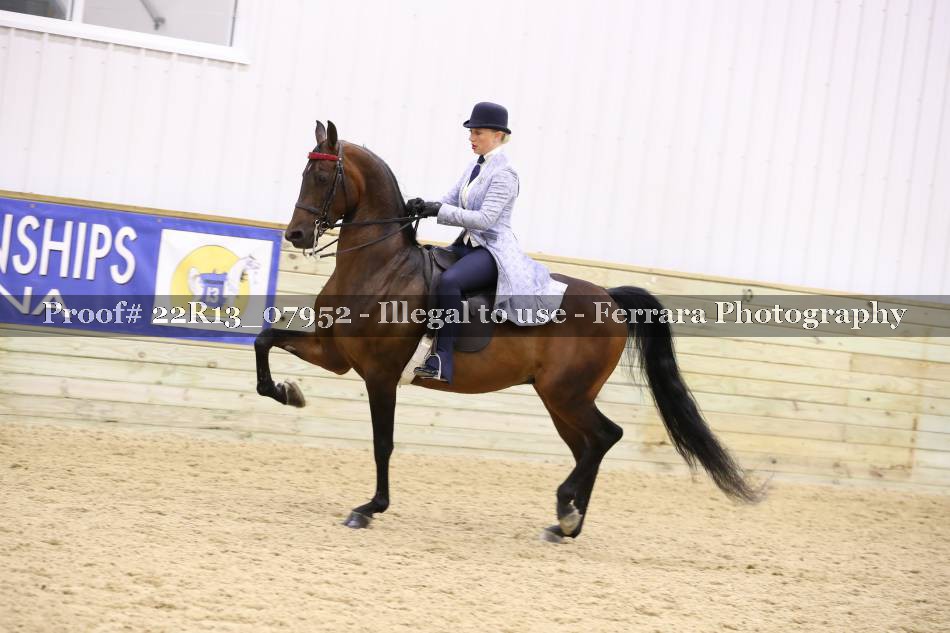 Proof 22R13_07952