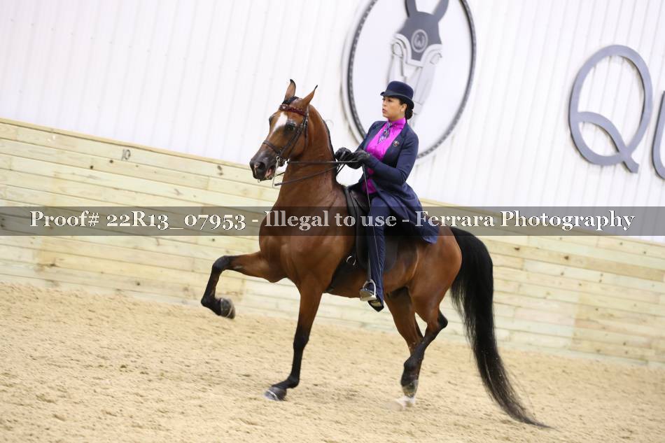 Proof 22R13_07953