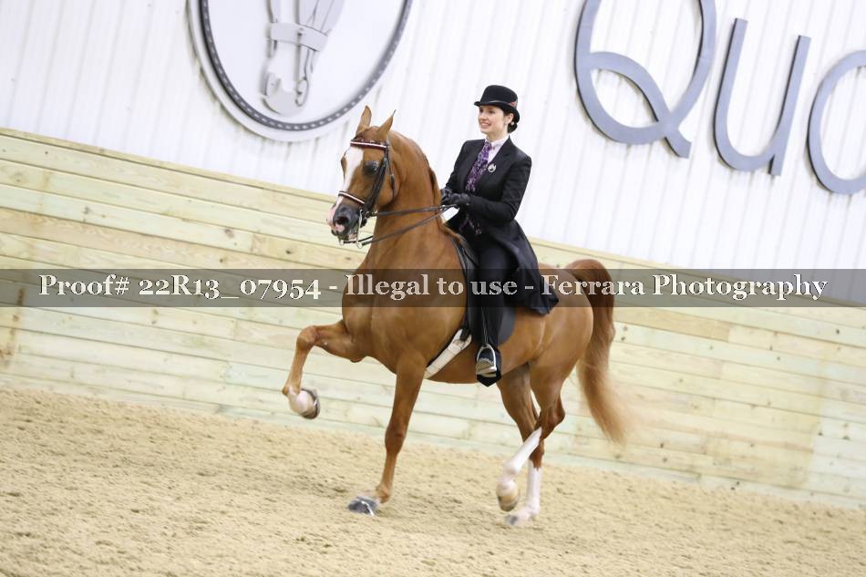 Proof 22R13_07954