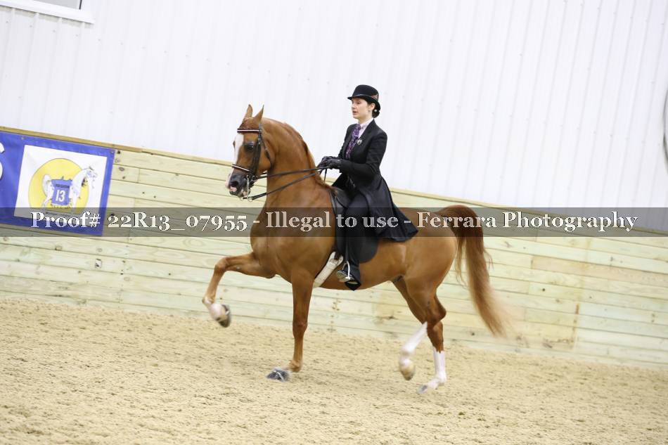 Proof 22R13_07955