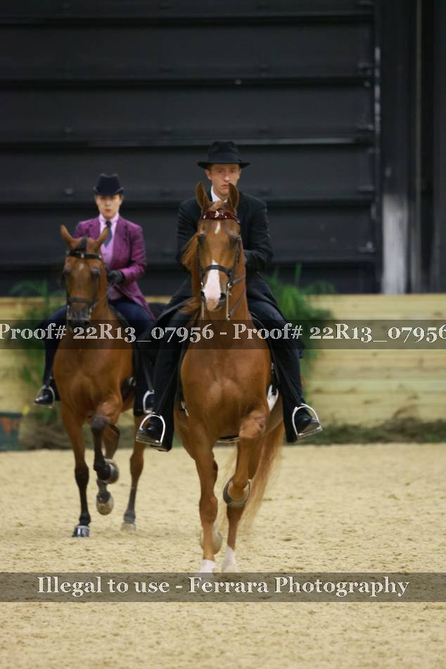 Proof 22R13_07956