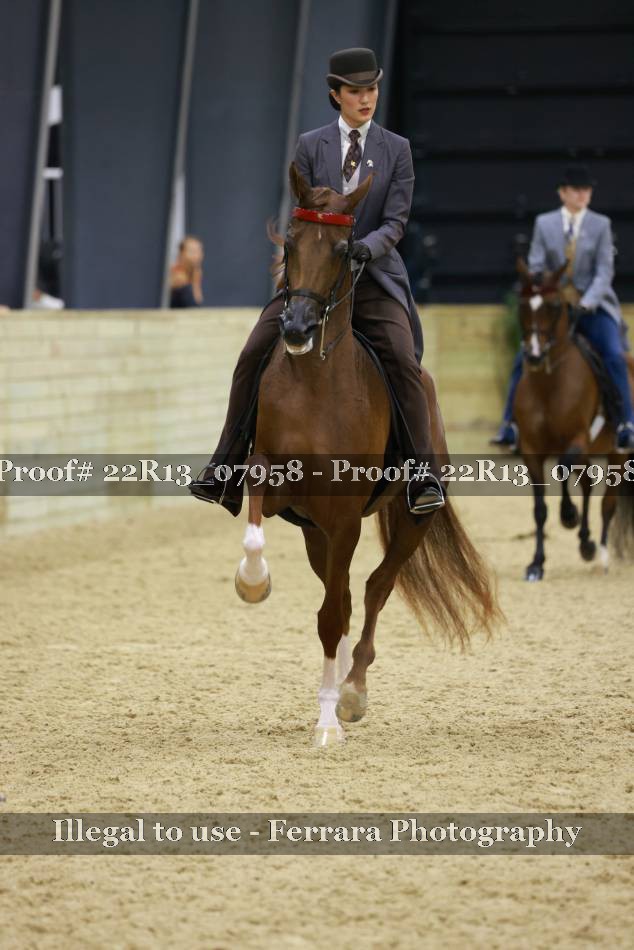 Proof 22R13_07958