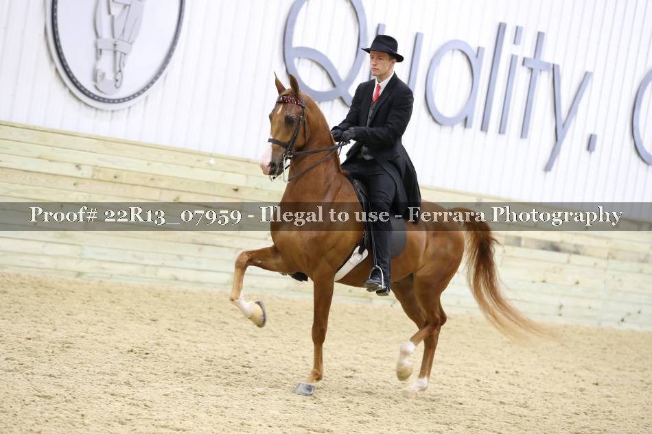 Proof 22R13_07959