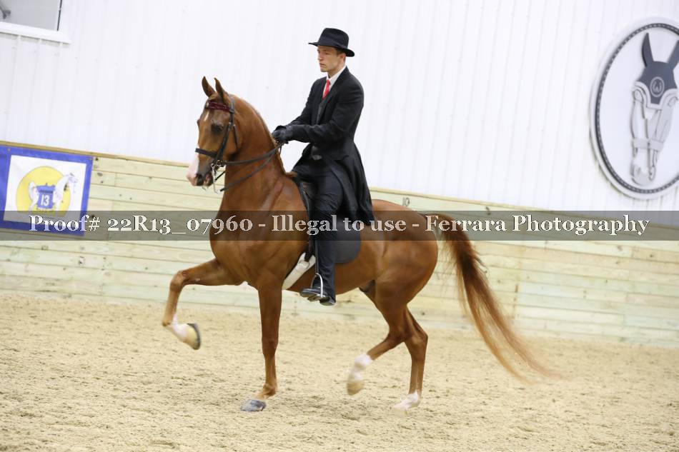 Proof 22R13_07960