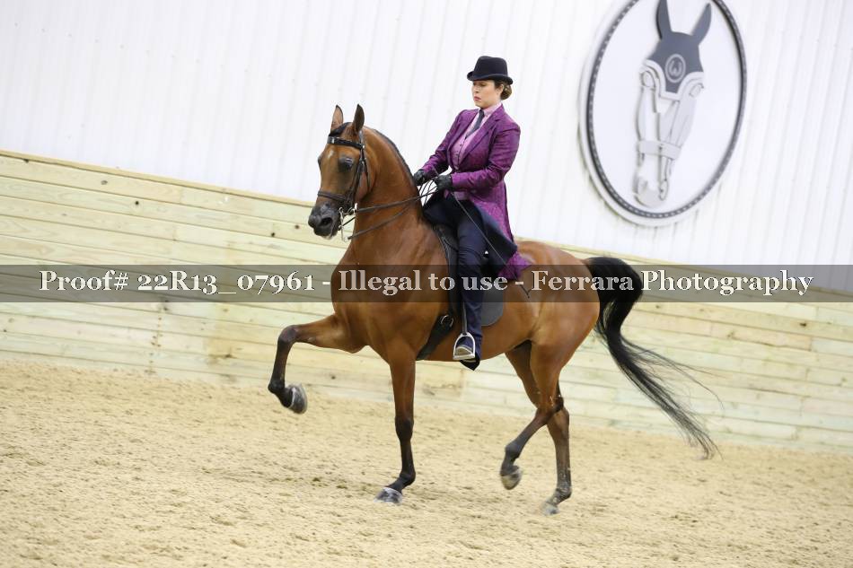 Proof 22R13_07961