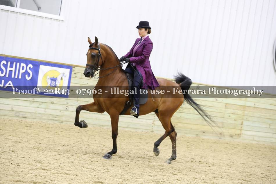 Proof 22R13_07962