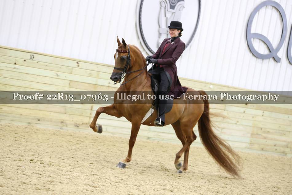 Proof 22R13_07963