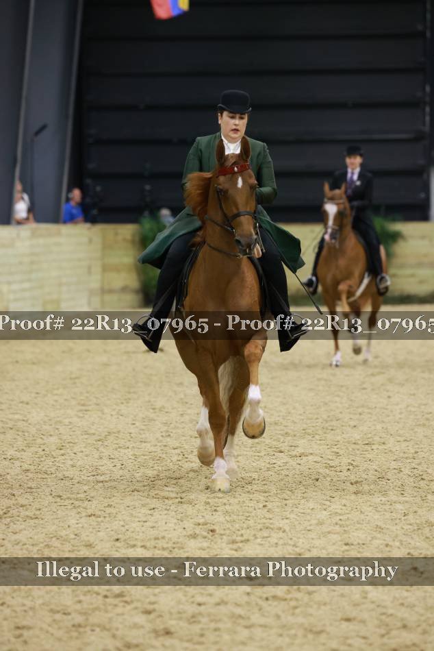 Proof 22R13_07965
