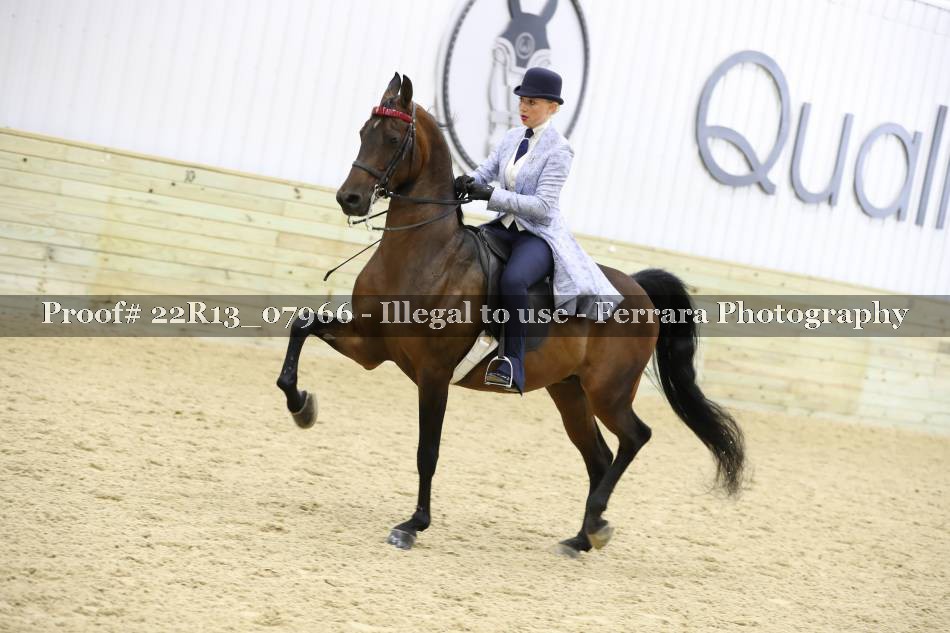 Proof 22R13_07966