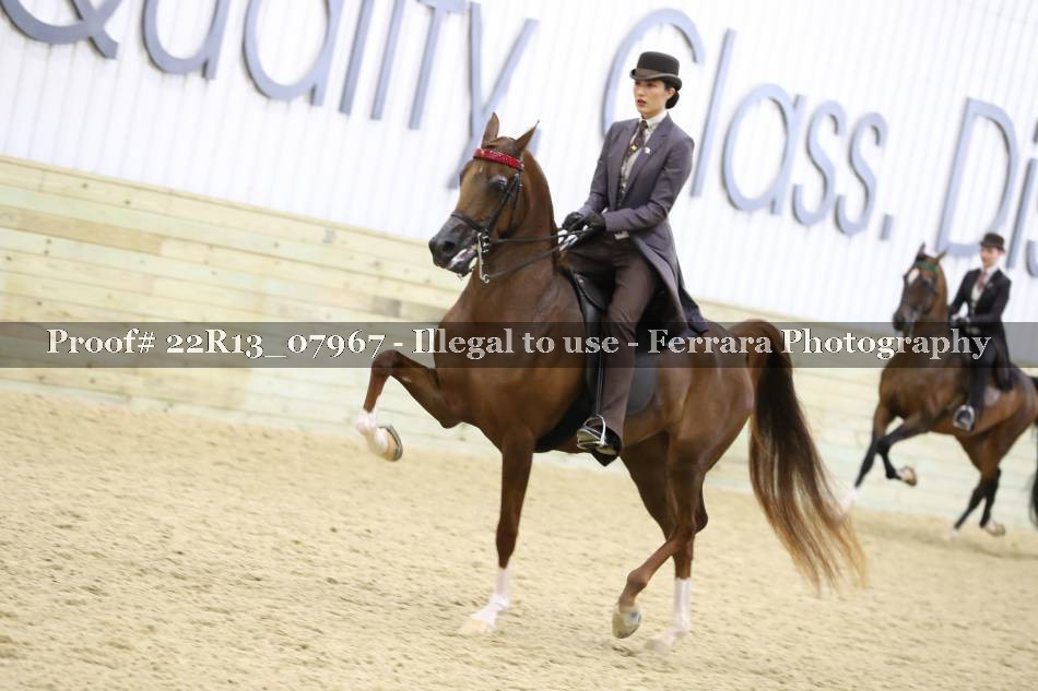 Proof 22R13_07967
