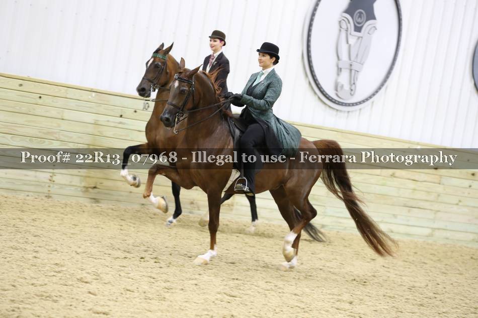 Proof 22R13_07968
