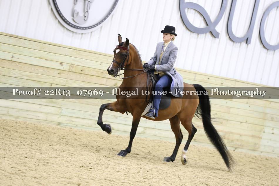 Proof 22R13_07969