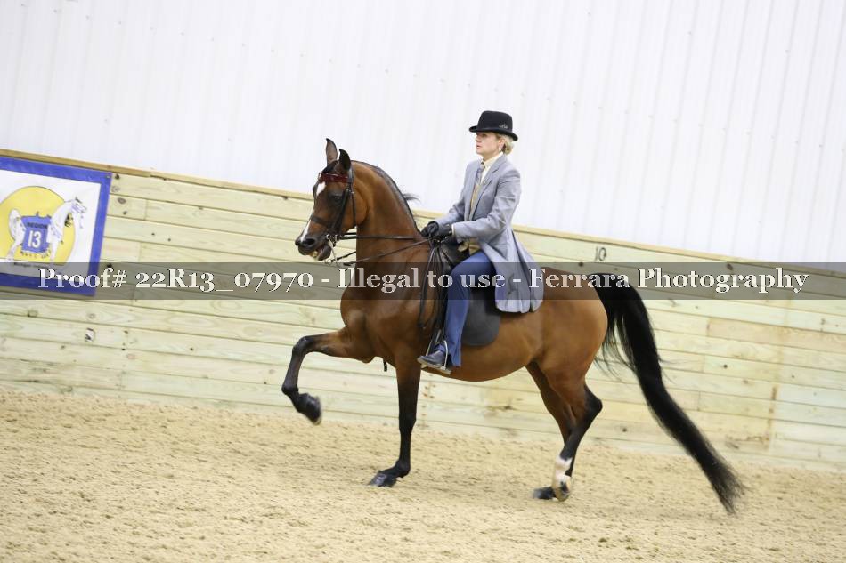 Proof 22R13_07970