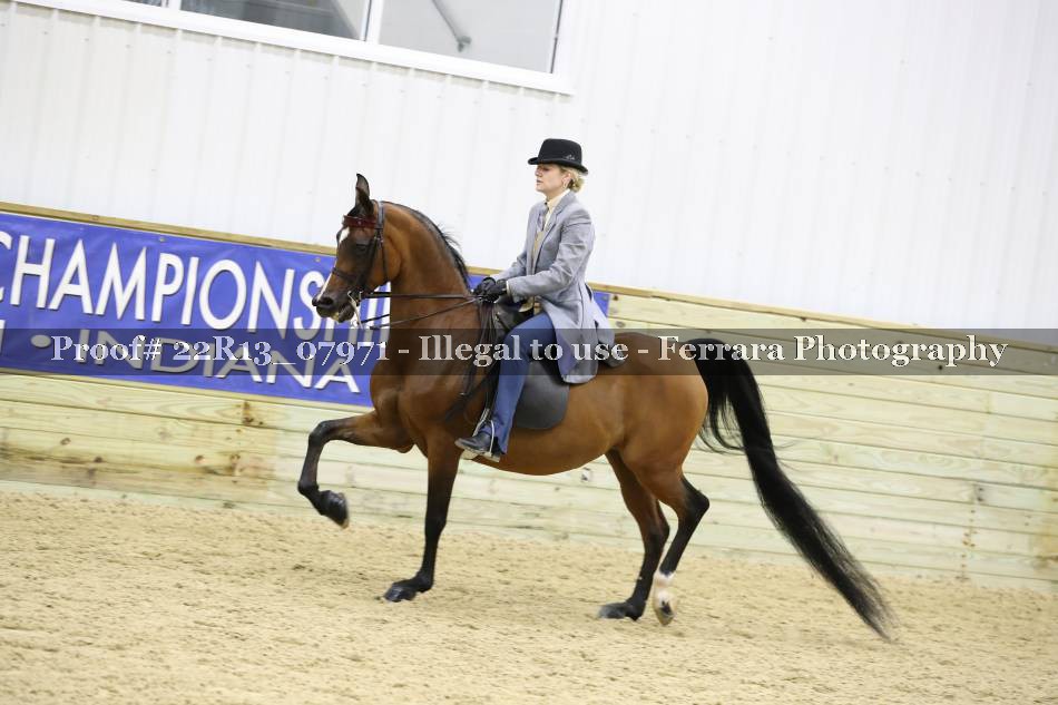 Proof 22R13_07971