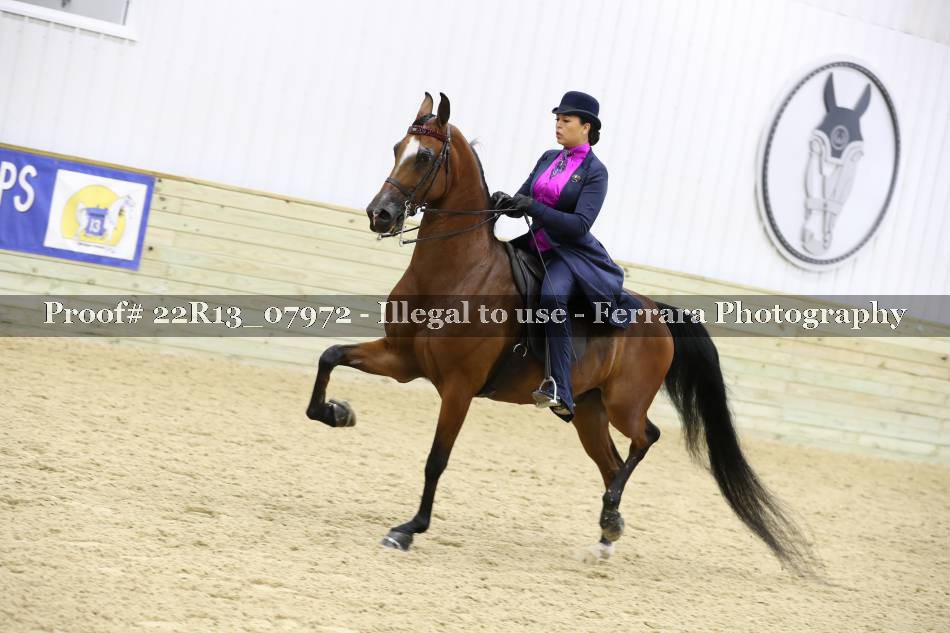 Proof 22R13_07972